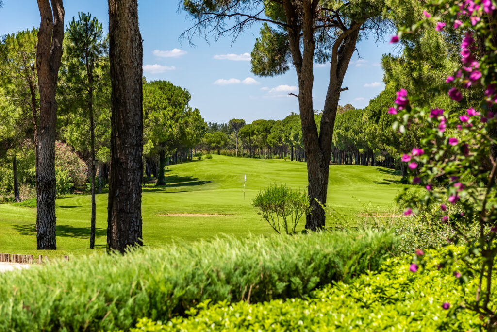 CORNELIA GOLF CLUB HOLE 4