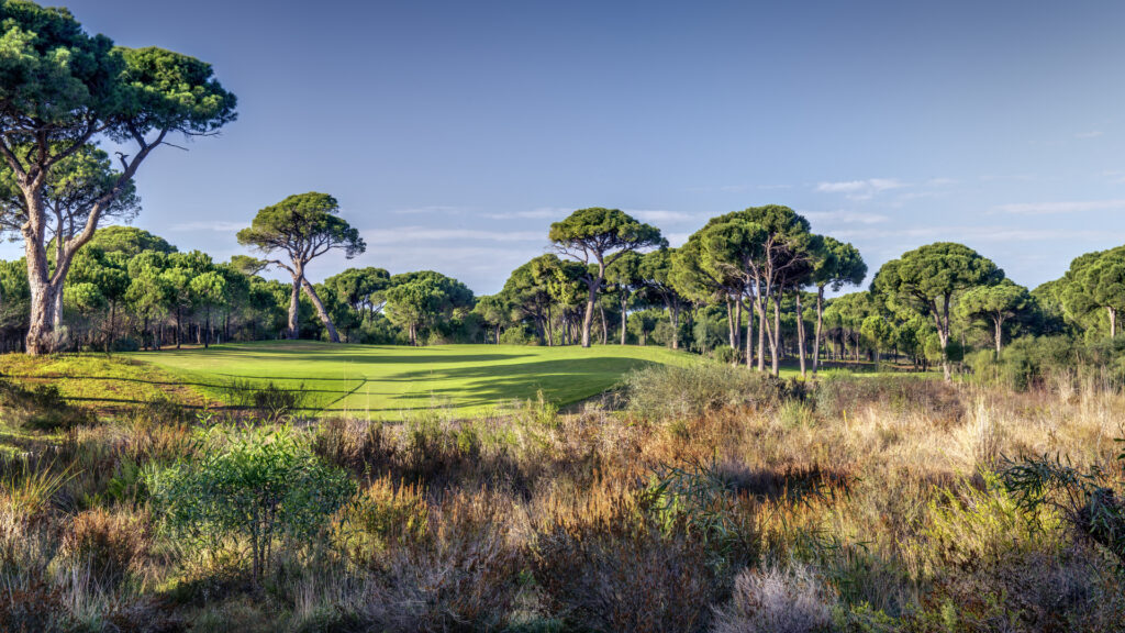 CORNELIA GOLF CLUB HOLE 7 Faldo_s Choice