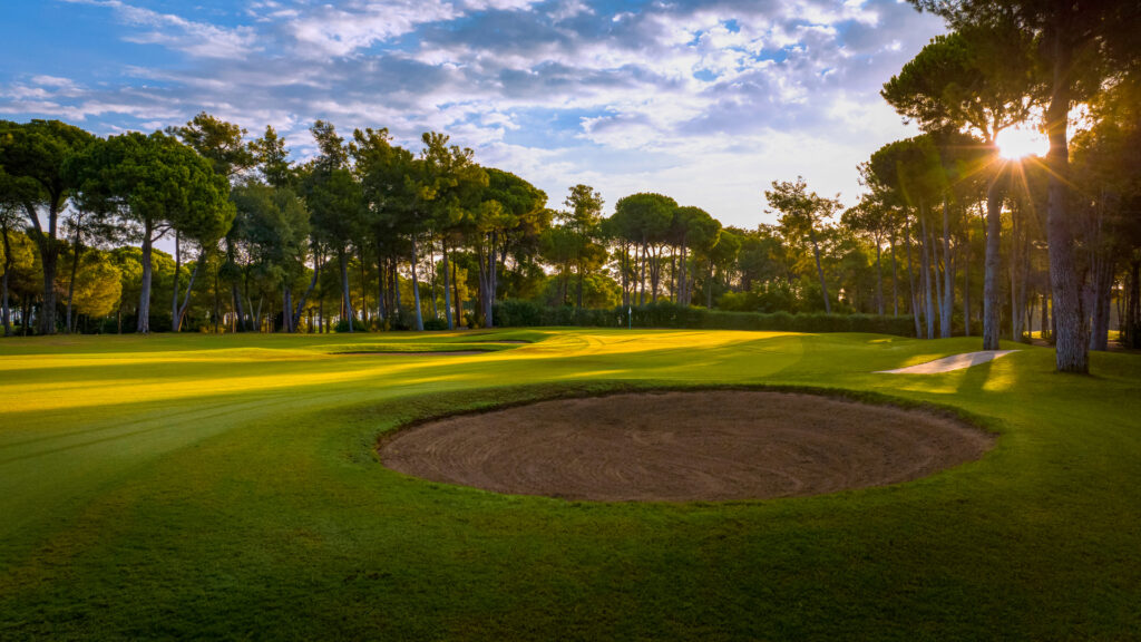 GGC_VC_2nd_5