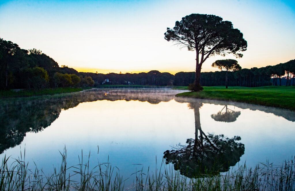 Montgomerie_4thHole