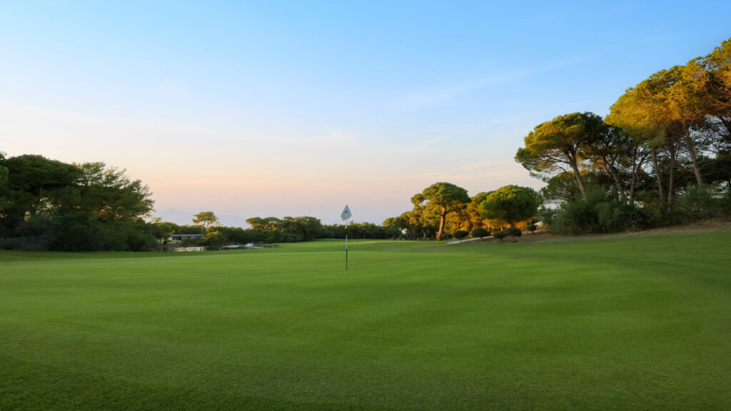 THE QUEEN COURSE (HOLE 11)51