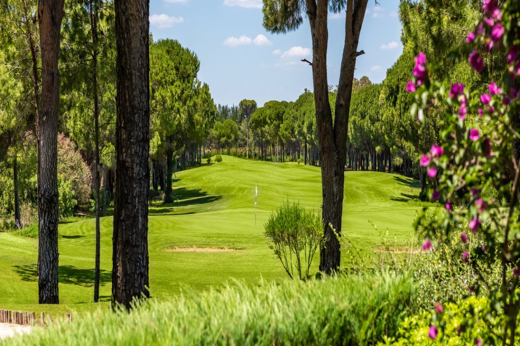CORNELIA GOLF CLUB HOLE 4
