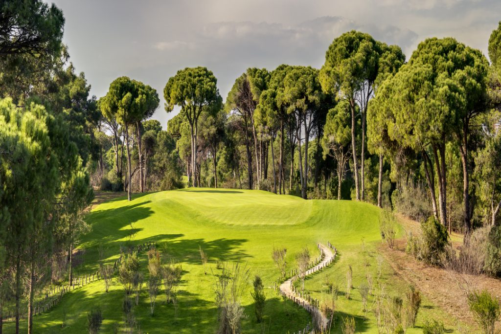 CORNELIA GOLF CLUB HOLE 6 Plateau