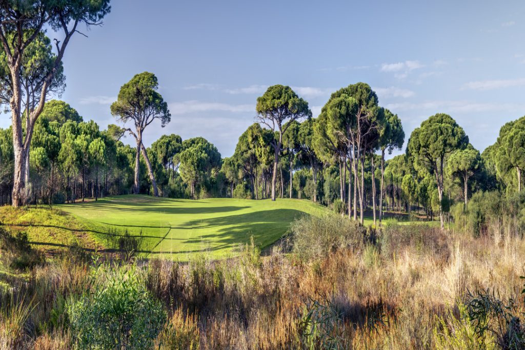 CORNELIA GOLF CLUB HOLE 7 Faldo_s Choice